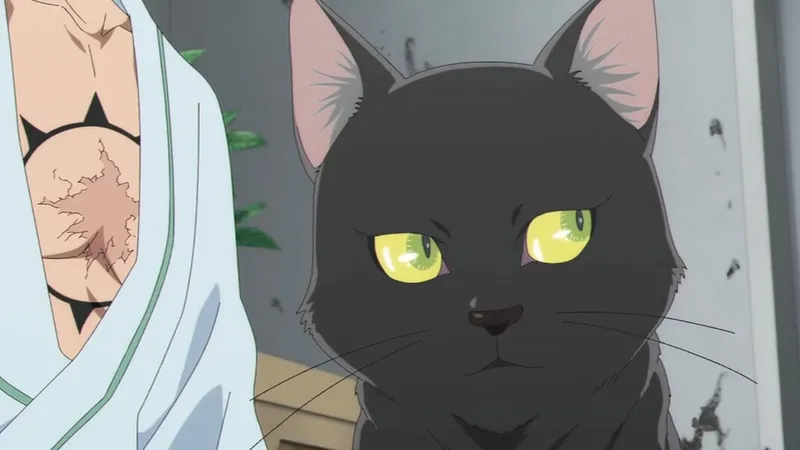 Gato preto de olhos verdes olhando para o lado direito