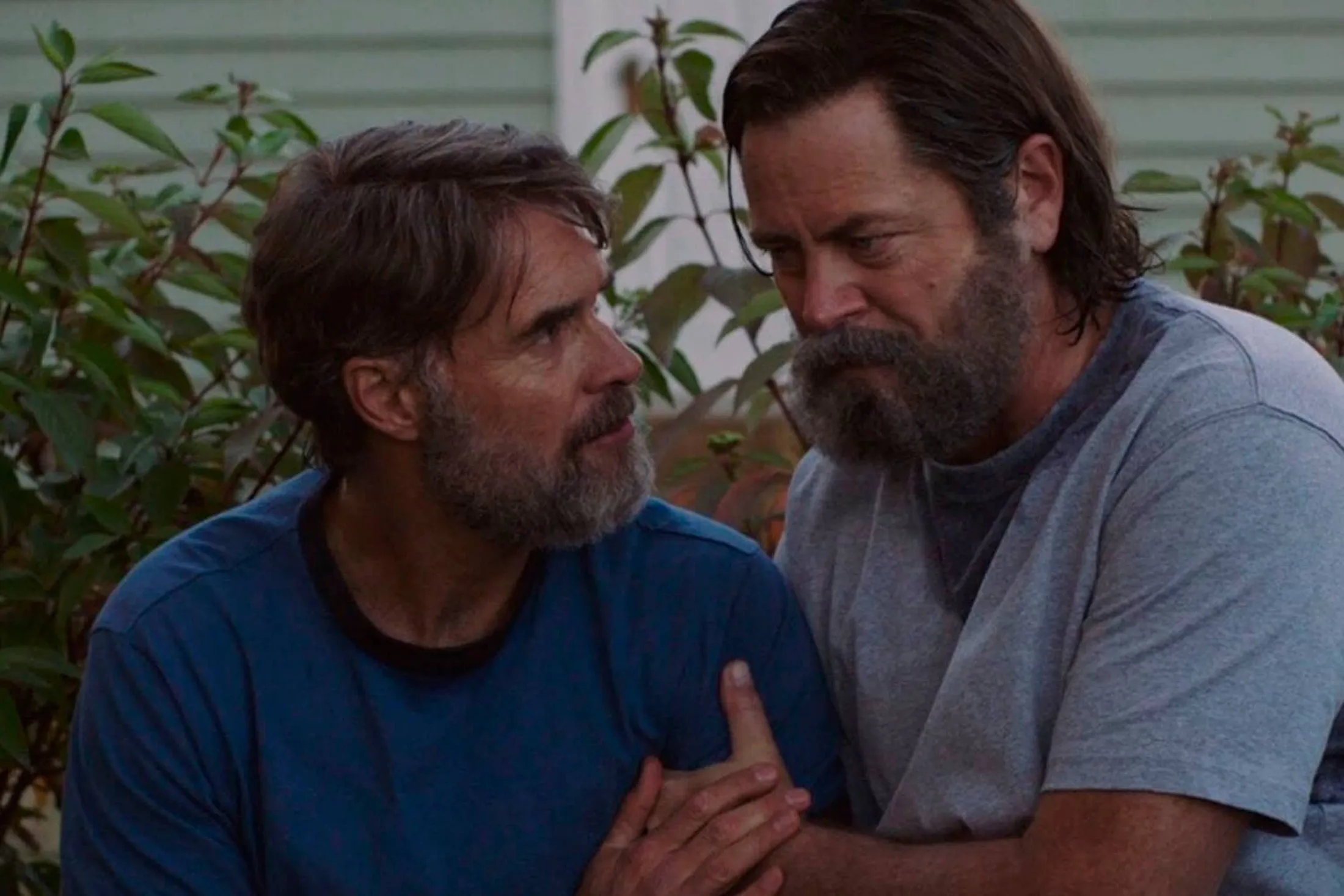 The Last of Us
