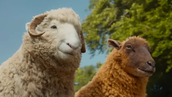 As Ovelhas Detetives: Tudo sobre o novo filme de Hugh Jackman!