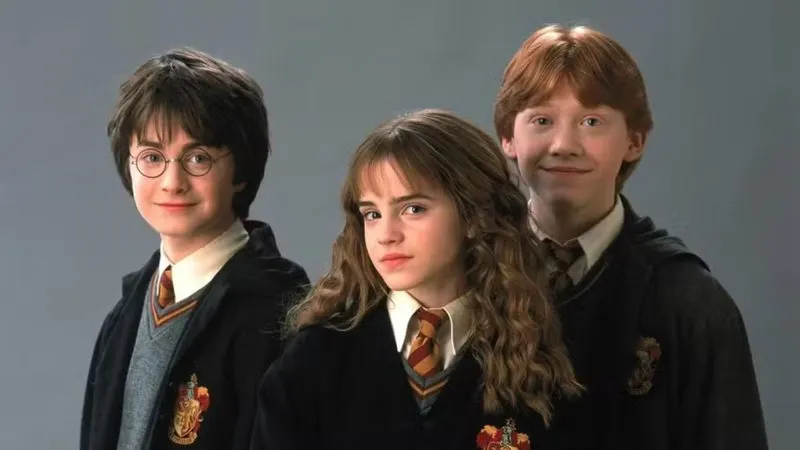 Saga Harry Potter mergulha na Jornada de Herói contando a história de Harry
