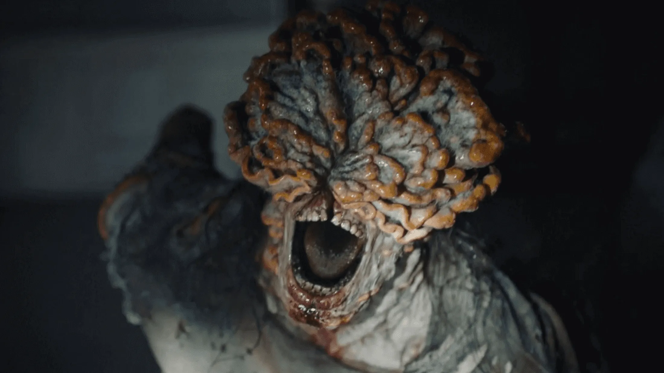 Segundo episodio de The Last of Us focou mais nos contaminados pelo fungo Cordyceps. Foto: Divulgação/HBO MAX