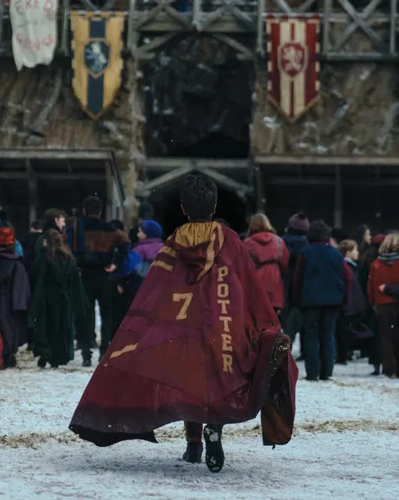 Série de Harry Potter da HBO