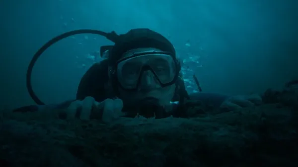 Dentro da Baleia: Trailer oficial é divulgado. Confira!