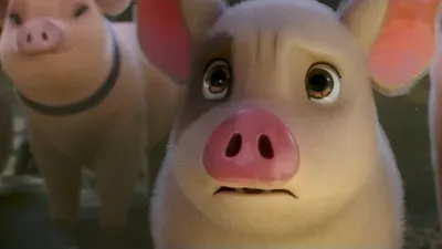 Porco em animação olhando com medo para a frente