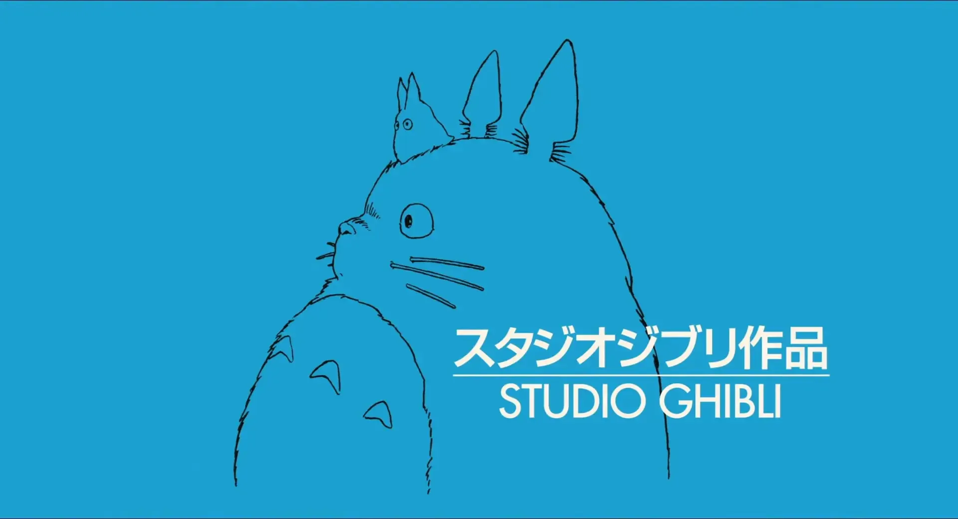 O logotipo da empresa é o Totoro, o personagem do filme Meu Amigo Totoro, lançado em 1988