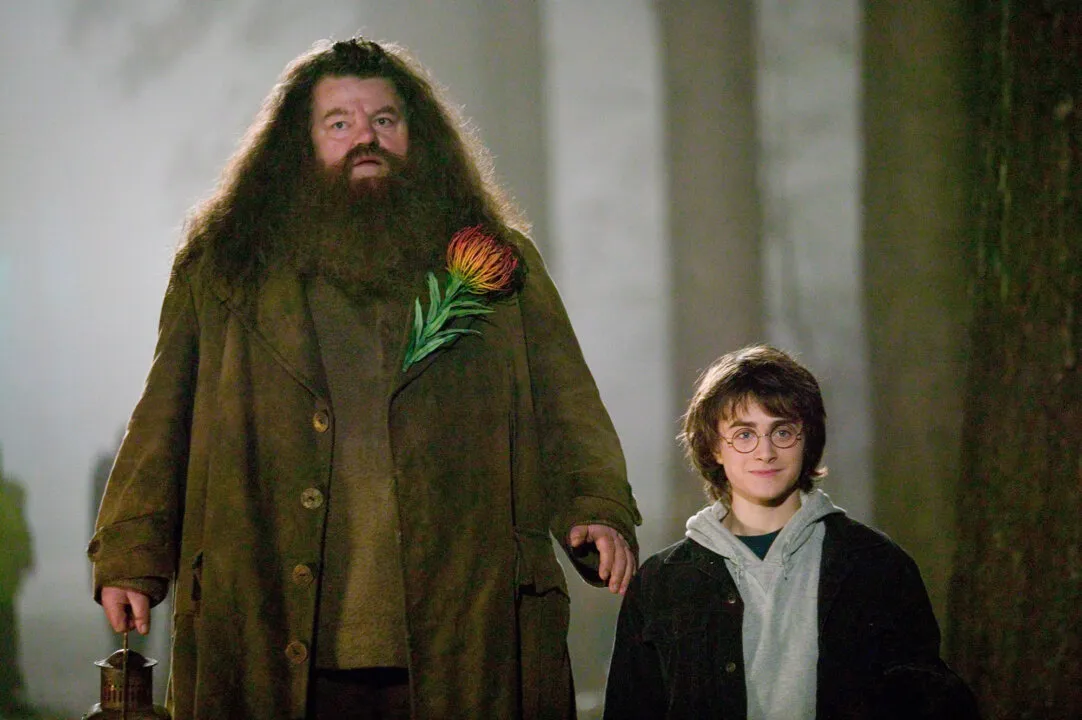 Hagrid, Harry Potter.