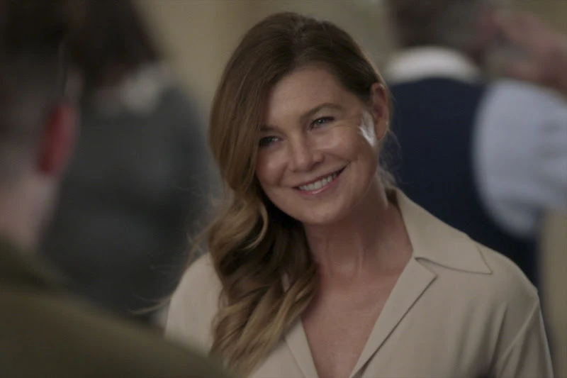 19ª temporada marca despedida de Ellen Pompeo, que da vida a Meredith Grey, na série