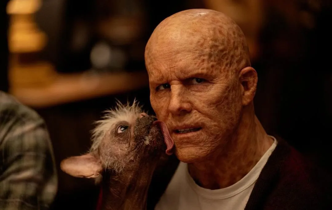 Deadpool sendo lambido pelo seu cachorro