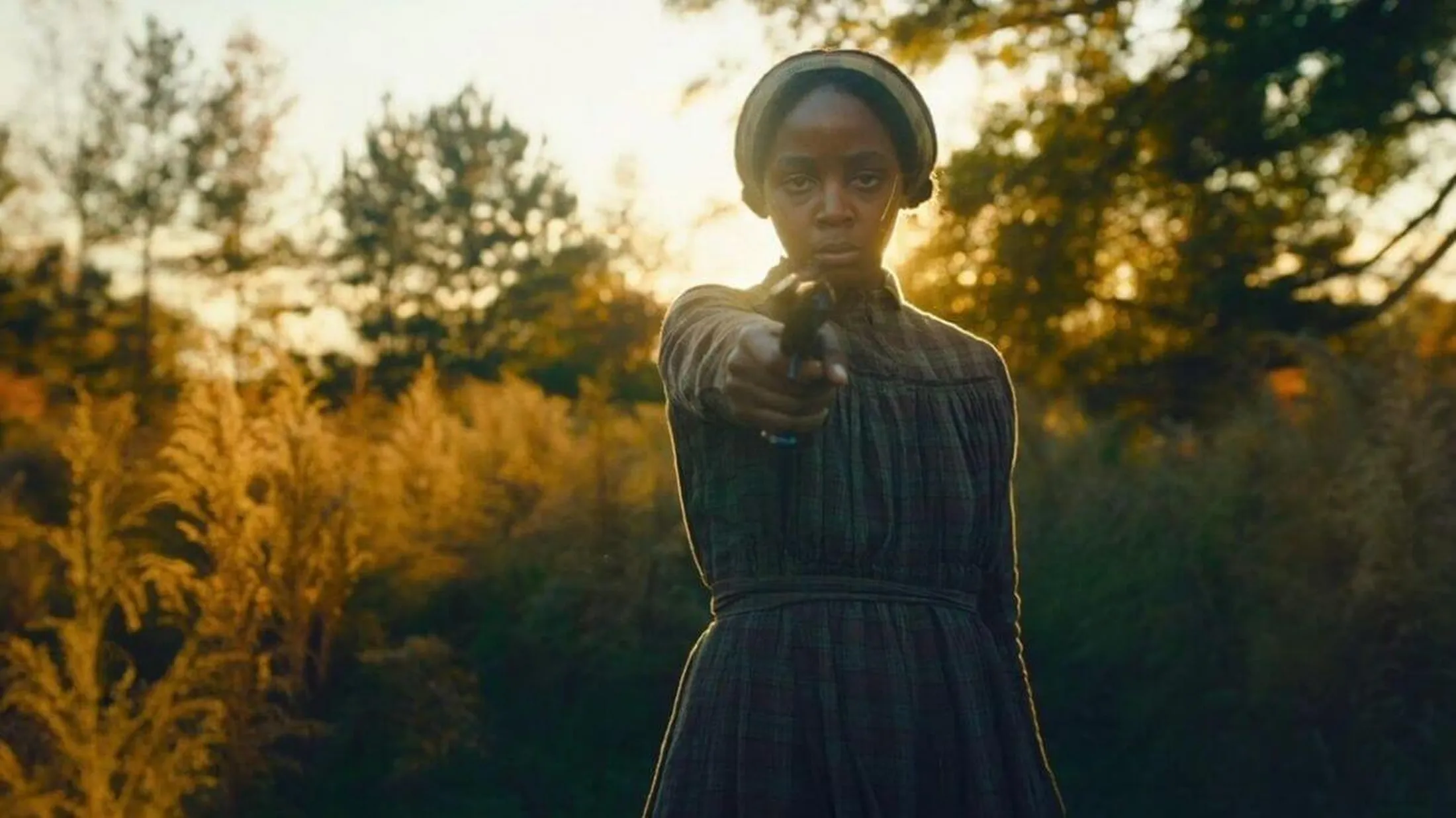 The Underground Railroad (2021)
