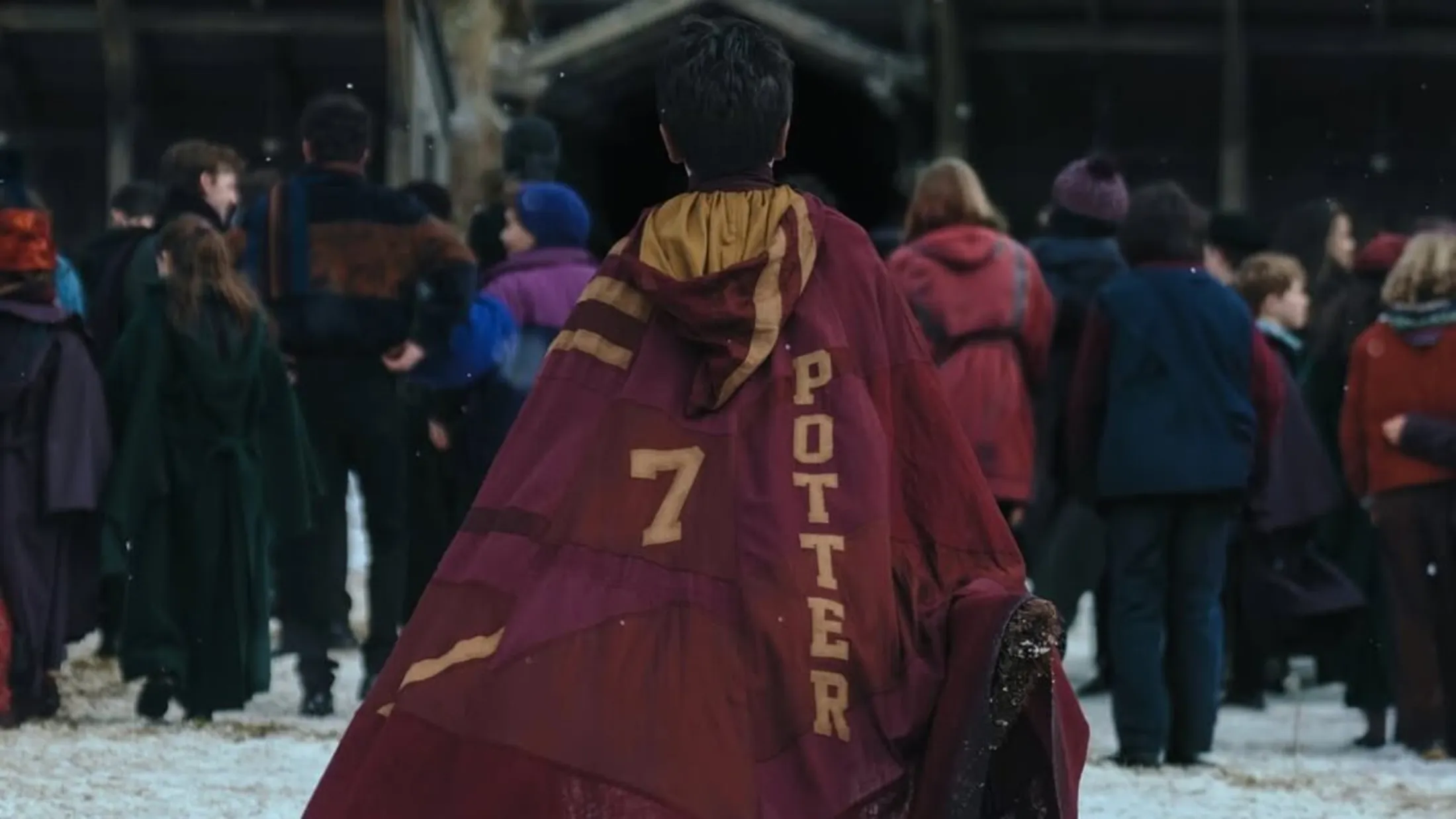 Série de Harry Potter da HBO