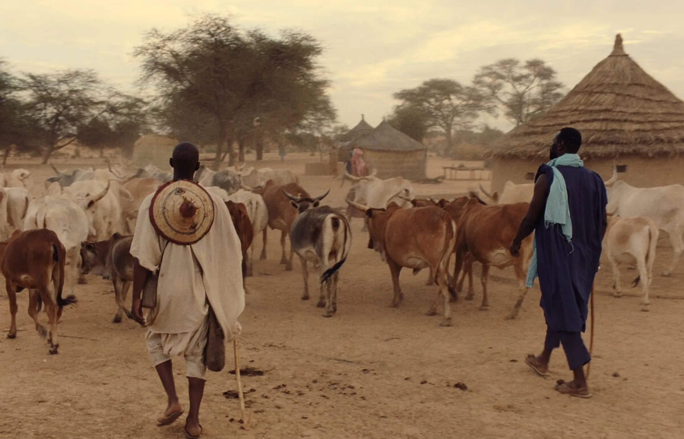 Critica Heroi de Sangue