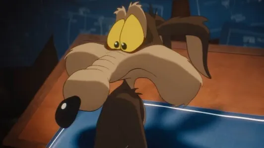 Coyote olhando para baixo