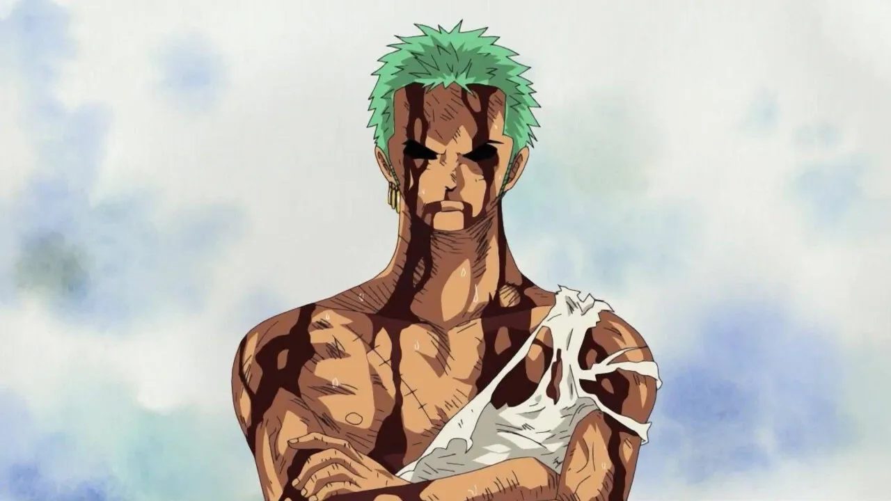 zoro de braços cruzados após receber toda a dor de luffy