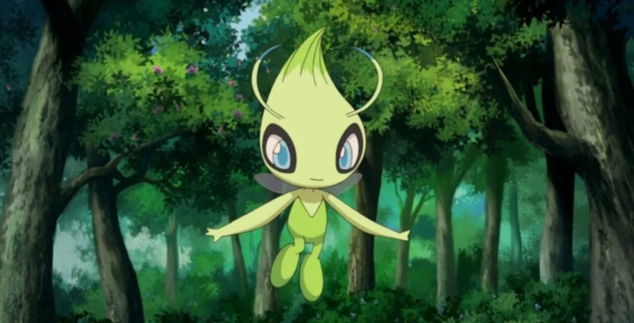Celebi sorrindo