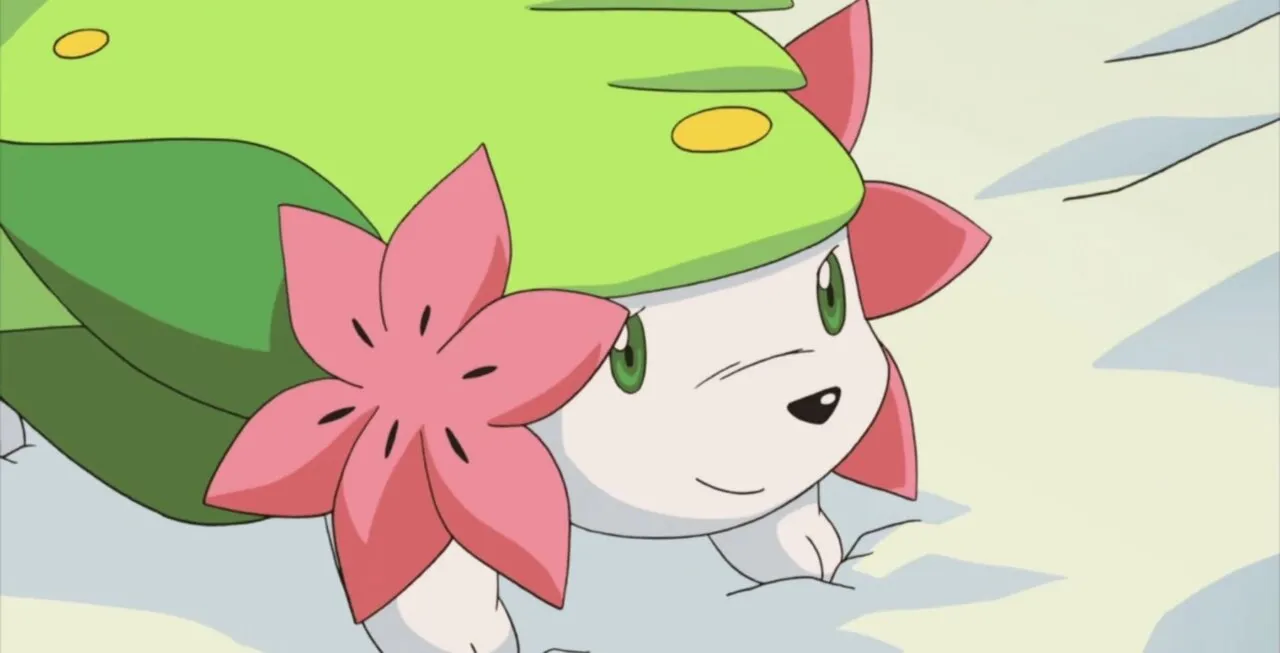 Shaymin sorrindo