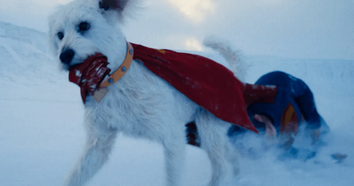 Krypto em Superman
