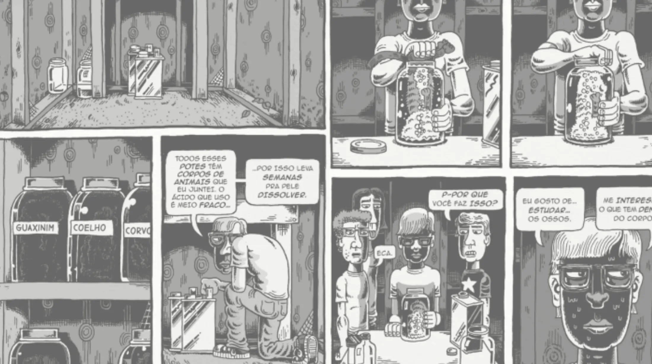 "Meu Amigo Dahmer" fala sobre a amizade do autor com o futuro serial killer(Foto: DarkSide Books)