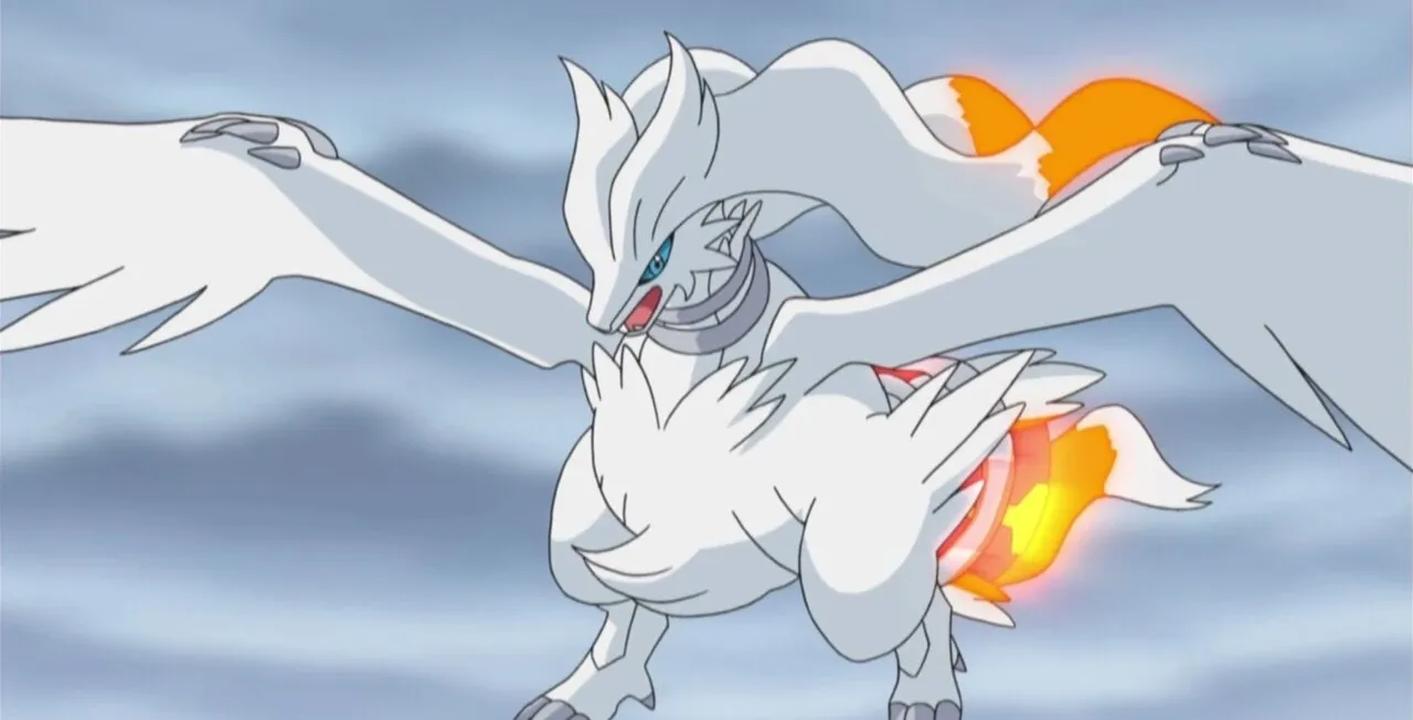 Reshiram voando com olhar sério