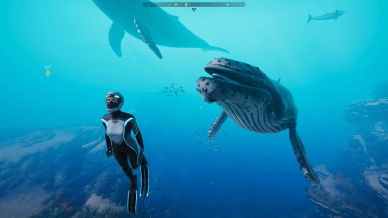 Beyond Blue, jogo grátis da Epic Games