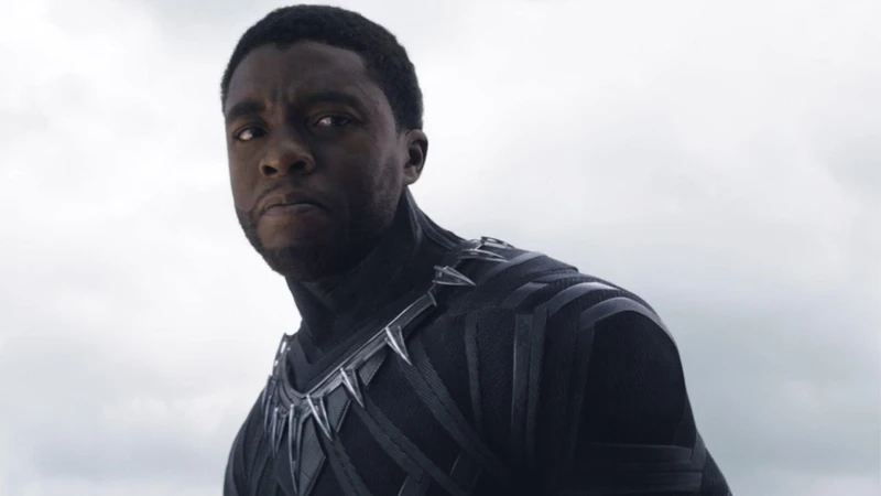 pantera negra (Foto: Reprodução / Marvel Studios)
